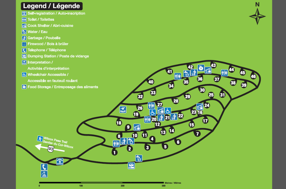 Wilcox Creek Campground Map